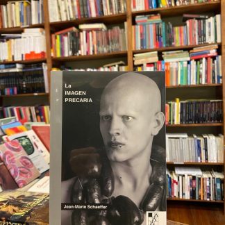 La Imagen Precaria
