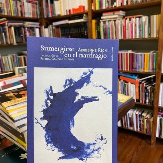 Sumergirse En El Naufragio