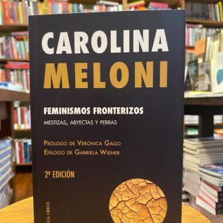 Feminismos Fronterizos